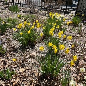 Meet your Posher, Genevieve